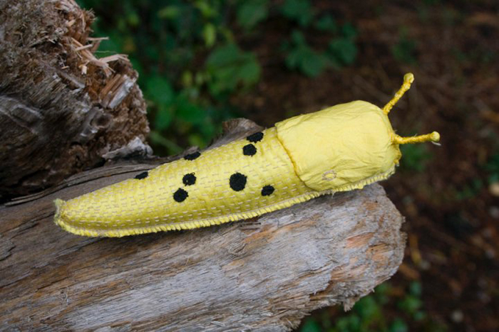 Banana Slug, 2011