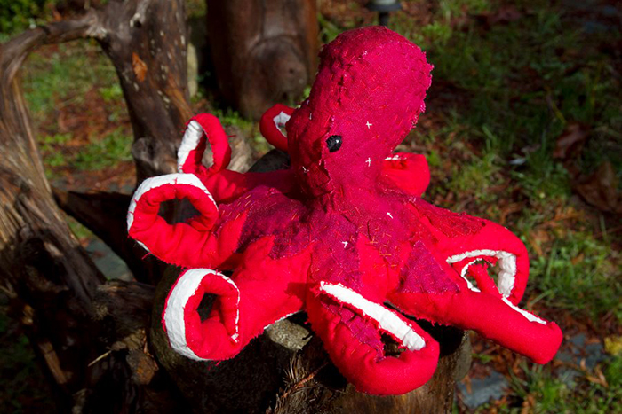 Giant Pacific Octopus, 2012