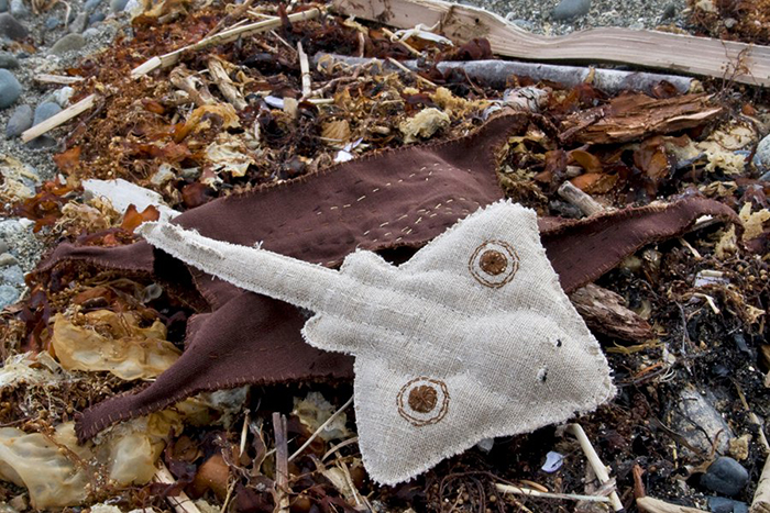 Giant Skate and Egg Case (Mermaid's Purse), 2011